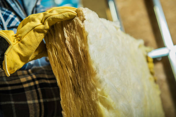 Professional Insulation Contractor in Caledonia, MN